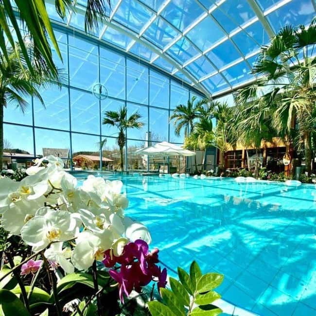 Bucharest: All Day Therme with Elysium Experience - Key things I’d plan around