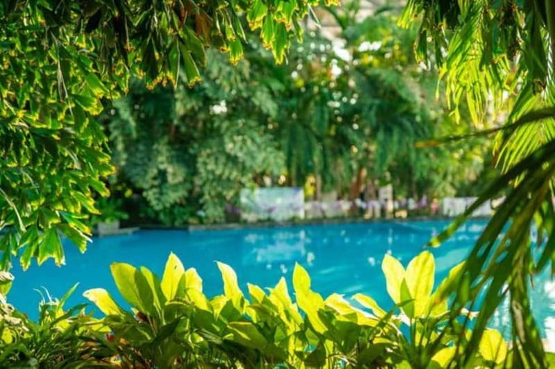 Bucharest: All Day Therme with Elysium Experience - Group size and English-speaking driver: the practical part of the experience