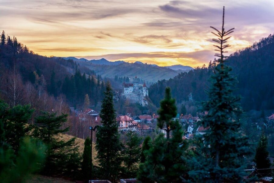 Bucharest: Bran Castle and Bear Sanctuary Small-Group Tour - Why Bran Castle and the Liberty Bear Sanctuary work so well together