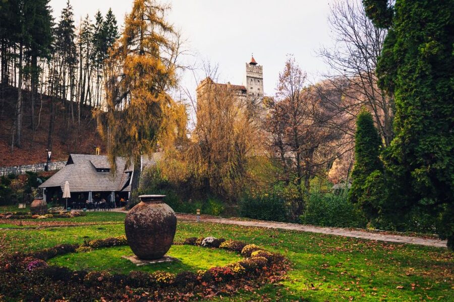 Bucharest: Bran Castle and Bear Sanctuary Small-Group Tour - Liberty Bear Sanctuary: what to expect in the forest and why it hits