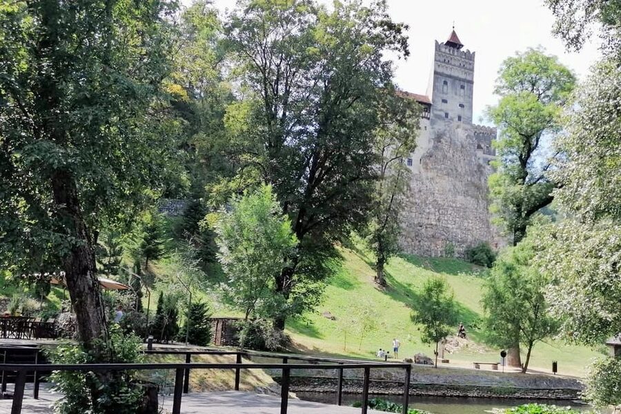 Bucharest: Bran Castle and Bear Sanctuary Small-Group Tour - Bran Castle: Dracula’s Castle vibes, plus medieval rooms that reward patience