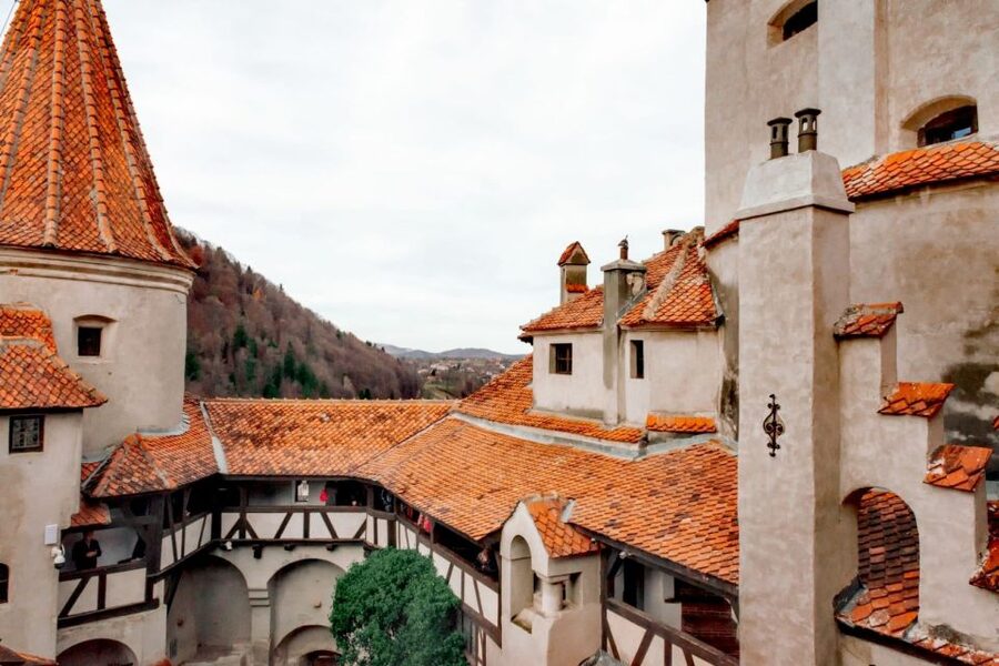 Bucharest: Bran Castle and Bear Sanctuary Small-Group Tour - Food, photos, and the pace between the big two stops