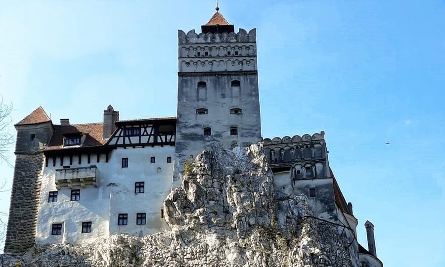 Bucharest: Bran Castle and Bear Sanctuary Small-Group Tour - Should you book the Bucharest, Bran Castle, and Bear Sanctuary tour?