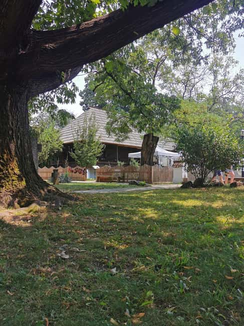 Bucharest city tour: Village Museum visit & Panormaic tour - Price and value for $55: what you get for two hours