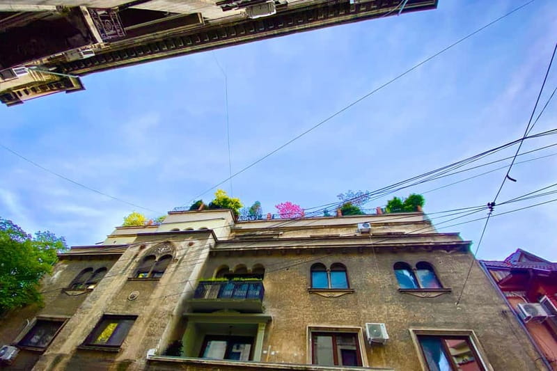 Bucharest: Craft Beer Tour with Traditional Meal - Snacks, street bites, and a traditional meal that keeps you human