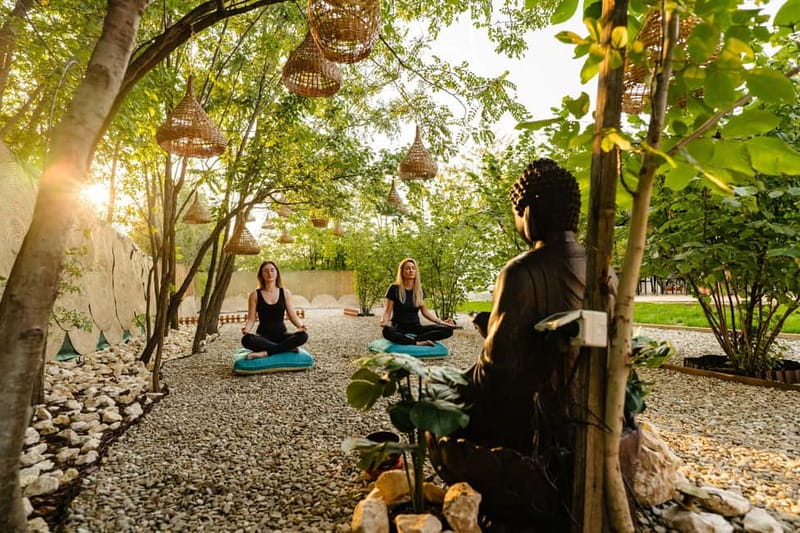 Bucharest: Day Trip at the The Tribe Alpaca Retreat - Small group size and the host experience