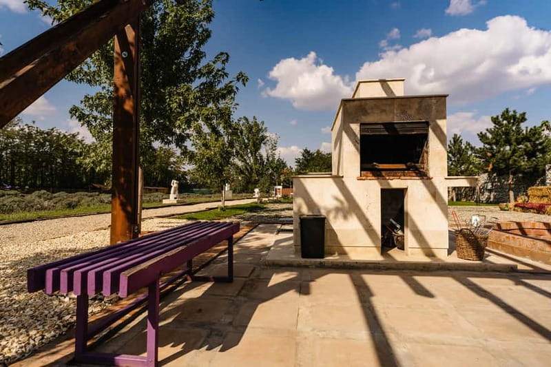 Bucharest: Day Trip at the The Tribe Alpaca Retreat - Who should book this day trip?