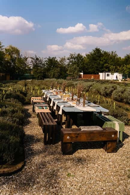 Bucharest: Day Trip at the The Tribe Alpaca Retreat - Should you book The Tribe Alpaca Retreat?