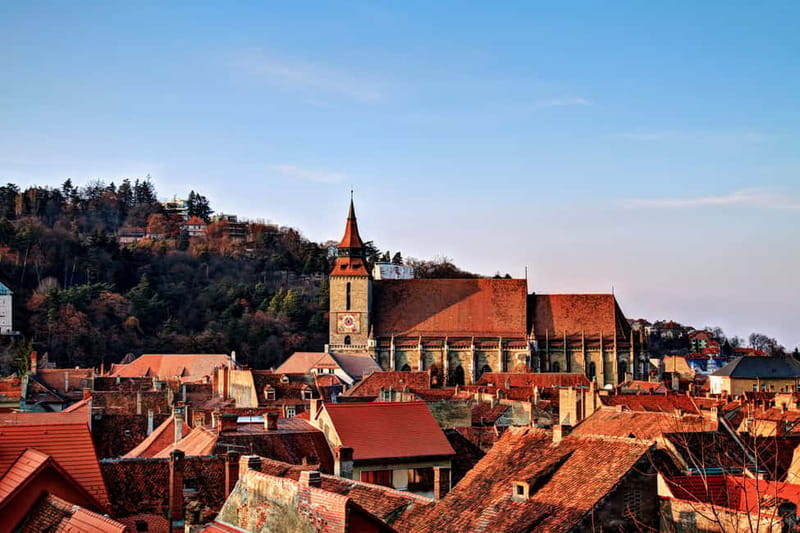 Bucharest: Day Trip to Bear Sanctuary, Bran Castle & Brasov - First stop: Liberty Bear Sanctuary in Zărnești, and how the visit actually works