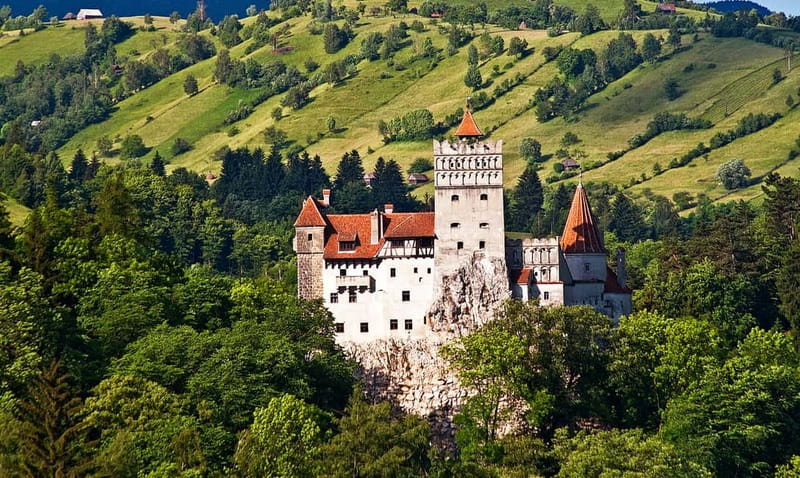 Bucharest: Day Trip to Bear Sanctuary, Bran Castle & Brasov - Price and value: what $152 includes, and what you should plan for