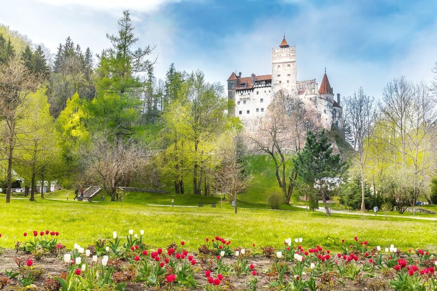 Bucharest: Day Trip to Dracula Castle, Peles Castle & Brașov - Coach Comfort, Stops, and What to Bring for a Castle Day