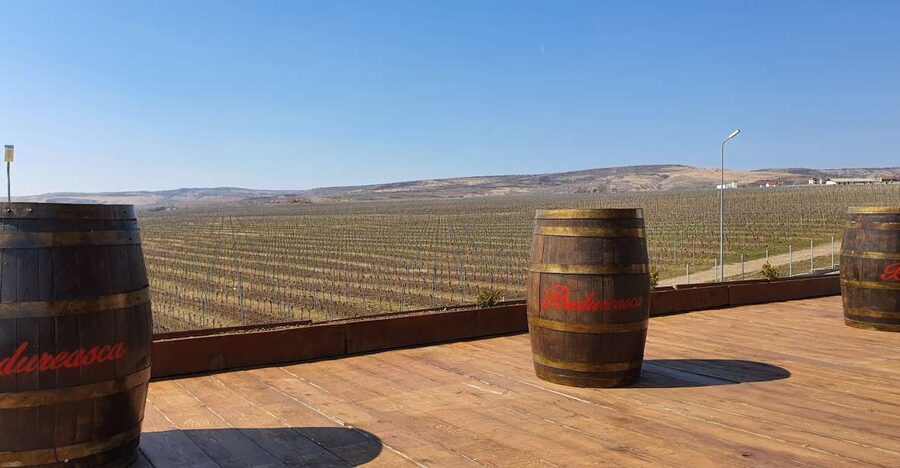 Bucharest: Dealu Mare Winery Private Trip with Wine Tasting - Two 1-hour winery visits in Dealu Mare: what each stop actually gives you