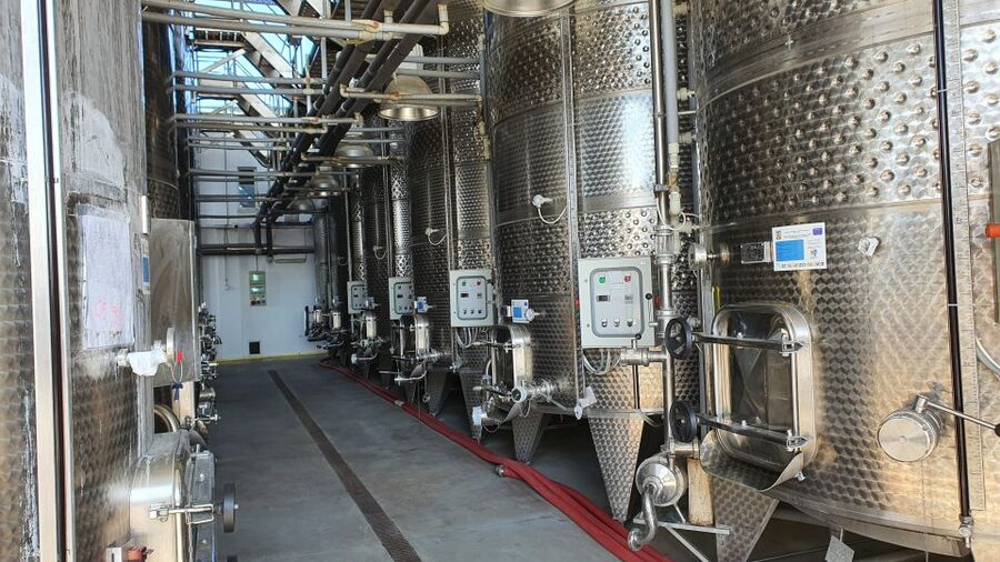 Bucharest: Dealu Mare Winery Private Trip with Wine Tasting - Tastings and snacks: how to enjoy about 7 wines without wrecking the day