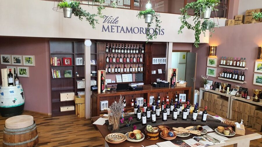 Bucharest: Dealu Mare Winery Private Trip with Wine Tasting - Price and value at about $210 per person for a private day