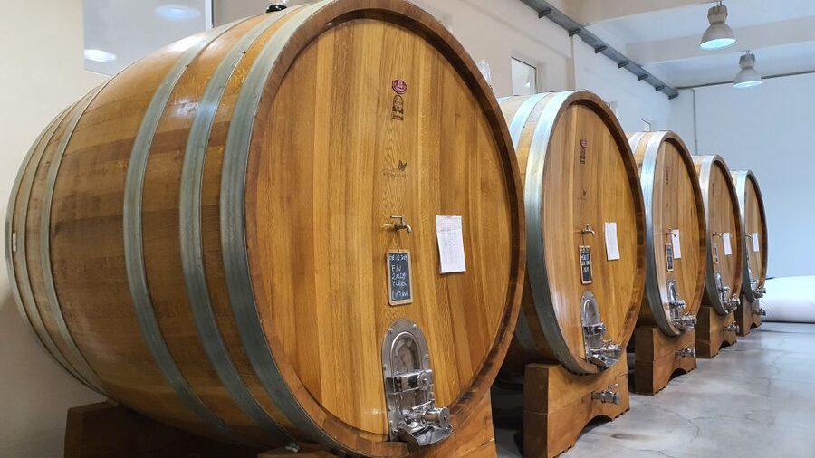 Bucharest: Dealu Mare Winery Private Trip with Wine Tasting - Who this private Bucharest to Dealu Mare trip suits best