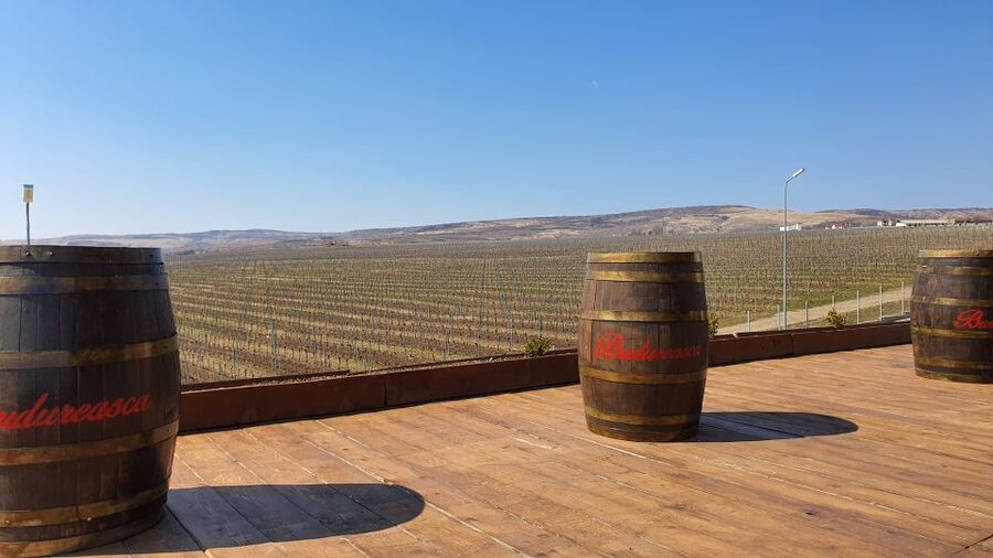 Bucharest: Dealu Mare Winery Private Trip with Wine Tasting - The road to Dealu Mare: views on the way and a calm start