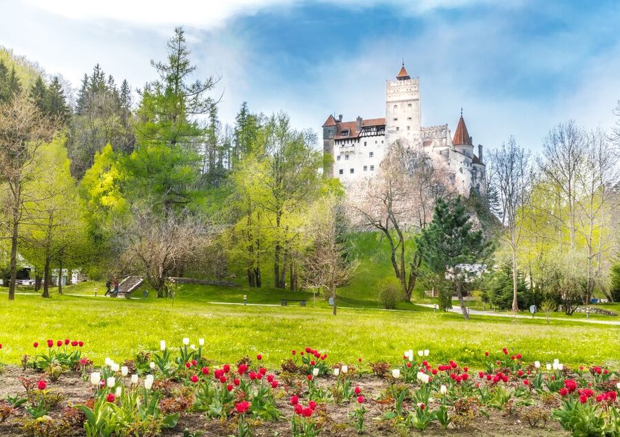 Bucharest: Dracula Castle, Peles Castle & Brasov Guided Tour - Peleș Castle in Sinaia: where the Neo-Renaissance details actually matter