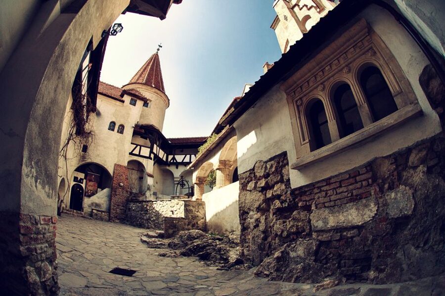 Bucharest: Dracula Castle, Peles Castle & Brasov Guided Tour - Pickup in central Bucharest and the bus day reality