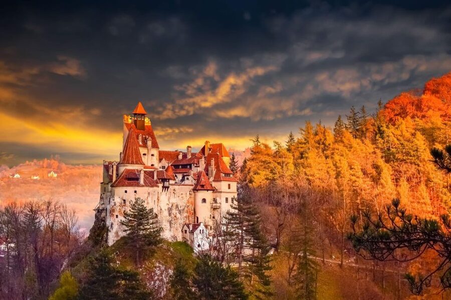 Bucharest: Dracula's Castle, Peleș Castle & Brașov Day Trip - Key Highlights at a Glance