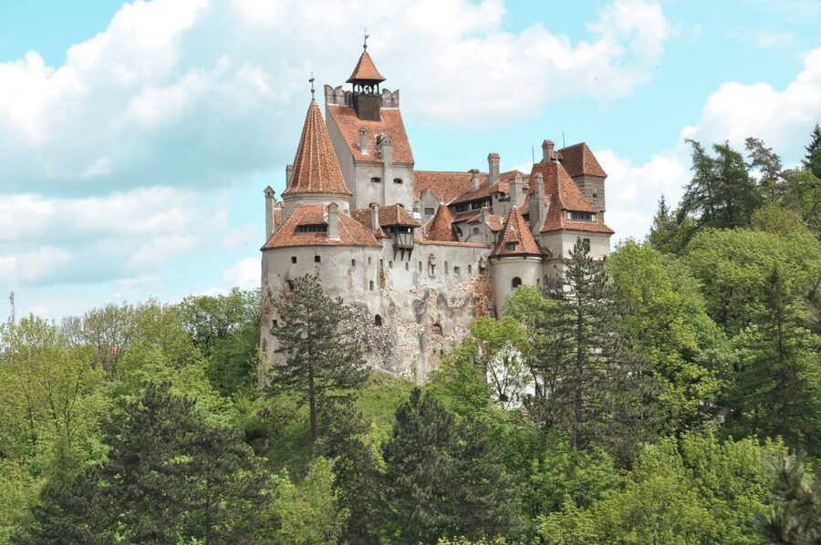 Bucharest: Dracula's Castle, Peles Castle, & Brasov Old Town - Who this tour fits best, and who should skip it