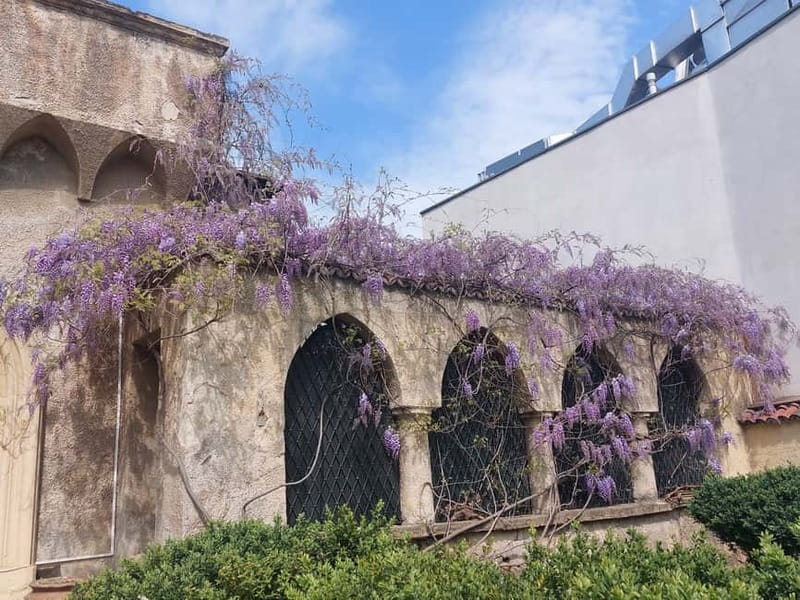 Bucharest: Hidden Gems 2.5-Hour Walking Tour - Mantuleasa Street and Mircea Eliade’s Personal Connection
