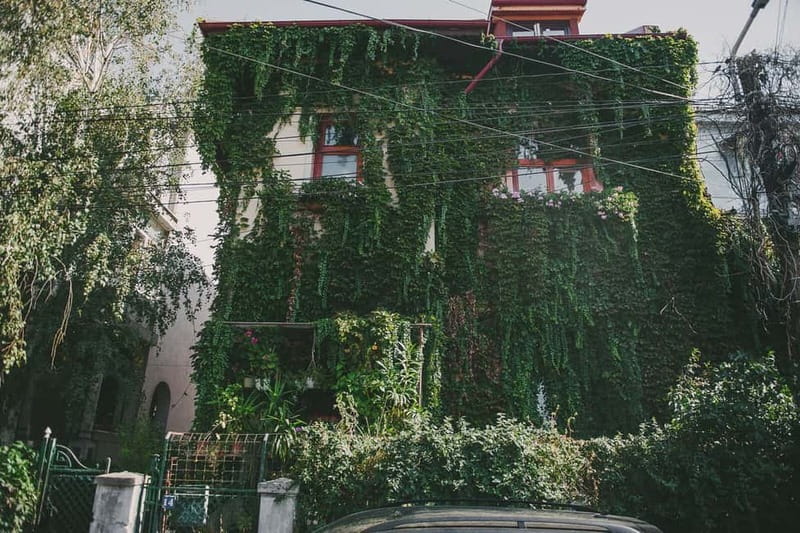 Bucharest: Hidden Gems 2.5-Hour Walking Tour - Price and Value for a 3-Hour Small-Group Walk