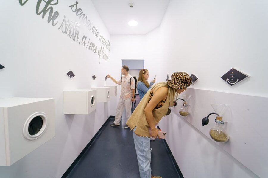 Bucharest: Museum of Senses Entry Ticket - Who should go, and who might want a different plan