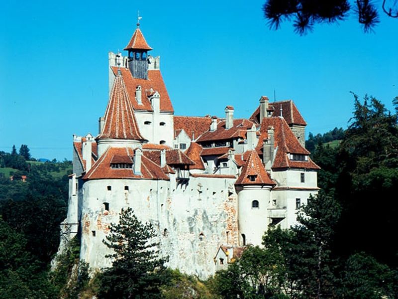 Bucharest: Peles Castle, Dracula's Castle and Brasov Tour - Key points to know before you go