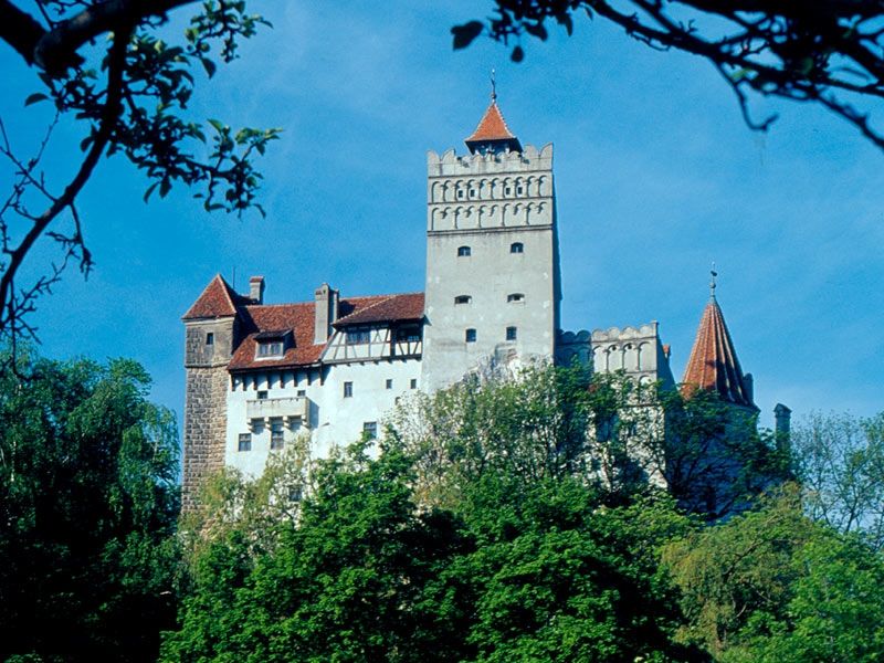 Bucharest: Peles Castle, Dracula's Castle and Brasov Tour - Price and what you really get for $120 per person