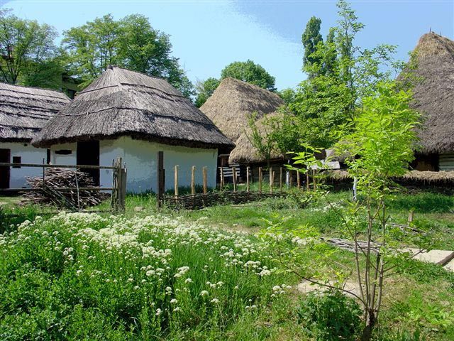 Bucharest: Private City Tour Guided Experience - A well-paced mix of Bucharest styles in 5 hours