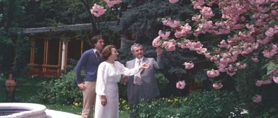 Bucharest: Private Last Days of Ceausescu Tour in a Dacia - Steel Factory and Militia station stops that feel tense on purpose