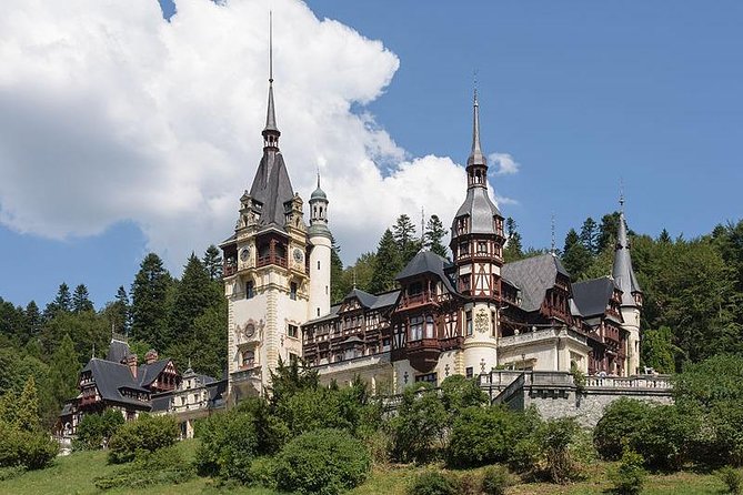 Bucharest Private Tour to Peles Castle & Biggest Salt Mine in Eu - Who should book this tour, and who should look elsewhere