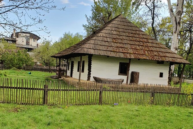 Bucharest Private Tour with Dracula's Grave and Ceaușescu Mansion - A 6-hour Bucharest route built for time-crunched curiosity