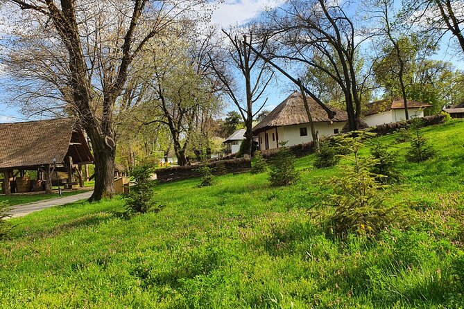 Bucharest Private Tour with Dracula's Grave and Ceaușescu Mansion - Guides make the difference: Dan and Nicu as examples of the style