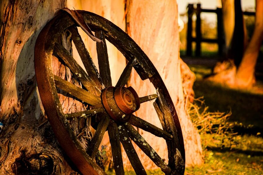 Bucharest: Ranch with Domestic Animals Day Trip - Price and value: what $138 per group up to 4 includes