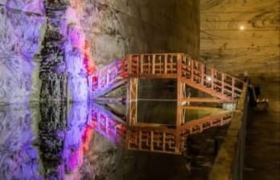 Bucharest: Slanic Salt Mine & Carpathian Mountains Day Tour - Price and Value: Is $173 a Good Deal for This Mix?