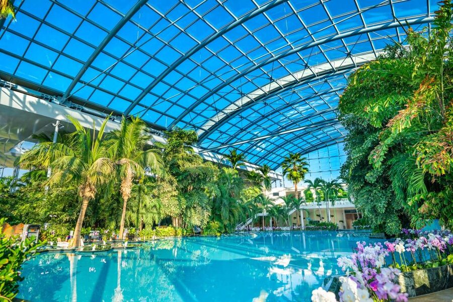 Bucharest: Therme Bucharest Entry Ticket and Transfer - The Palm Zone: tropical relaxation and a calmer rhythm