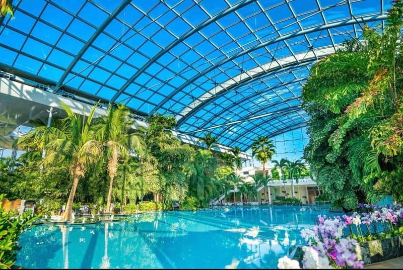 Bucharest: Therme Entry Ticket and Transfer - Who this is best for
