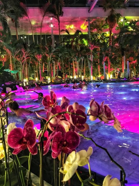 Bucharest: Therme Spa Night Experience with Transfer - Skip-the-line entrance, so you do not lose pool time