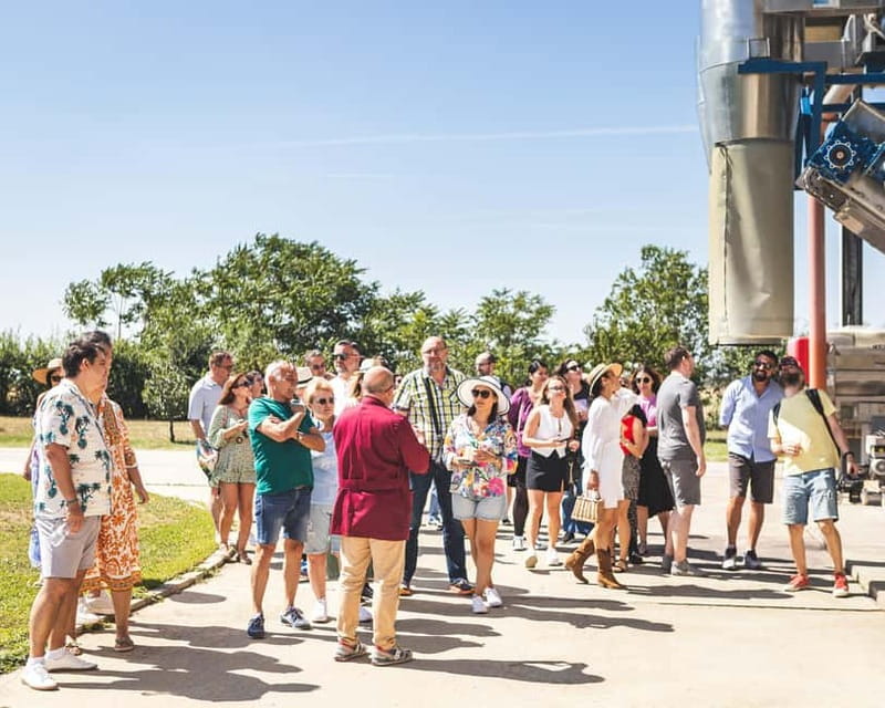 Bucharest: Tour The Wine Road, 2 Boutique Wineries in 1 Day - Key points before you go
