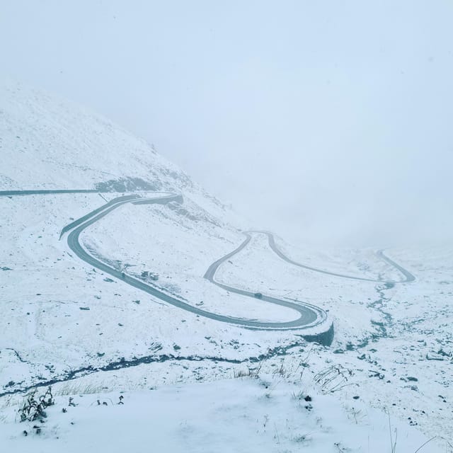 Bucharest: Transfăgărășan Highway & Balea Lake -Private Tour - Wild Brown Bears: How to Enjoy the Chance Without Counting on It