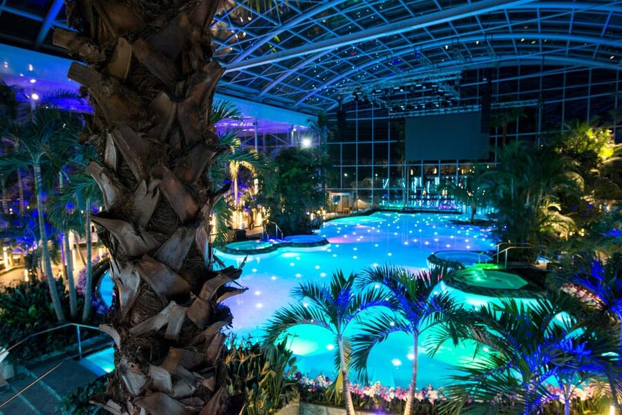 Bucuresti: Therme Bucharest Evening Entry Ticket & Transfer - Palm and Galaxy at Therme Bucharest, what that really means