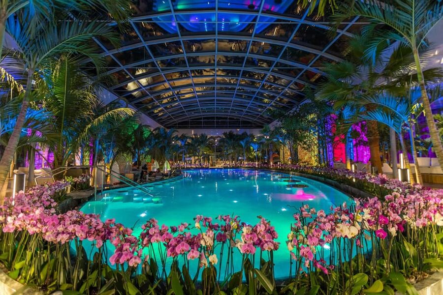 Bucuresti: Therme Bucharest Evening Entry Ticket & Transfer - Who this evening ticket is best for
