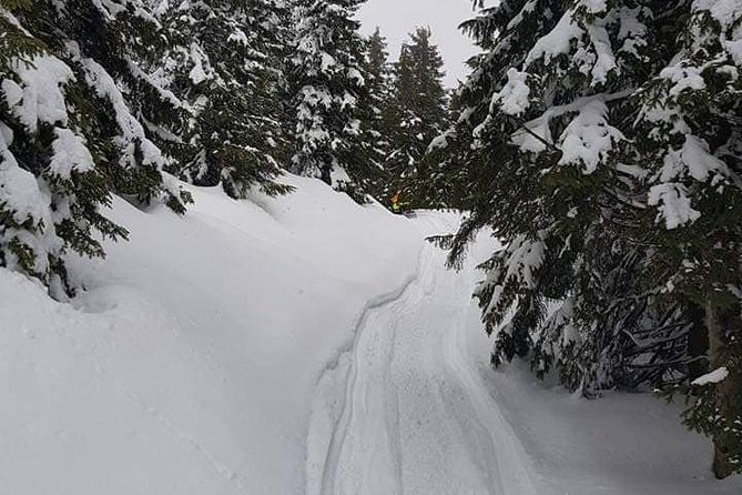 Carpathian mountains Snowmobile, ATV or Buggy tour in one day - Why This One-Day Bucharest-to-Carpathians Trip Works