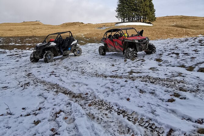 Carpathian mountains Snowmobile, ATV or Buggy tour in one day - Azuga in the Carpathians: Snowmobile vs ATV vs Buggy