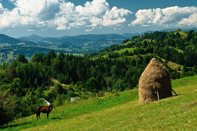 Chauffeur Service in Bucharest - Bucharest Chauffeur Service: The Simple Way to Do Romania on Your Terms