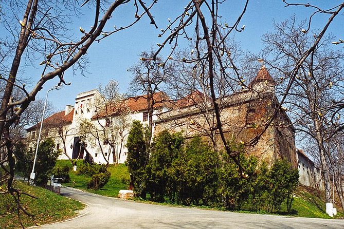 Chauffeur Service in Bucharest - Wildlife Watching: Bear or Bird Watching