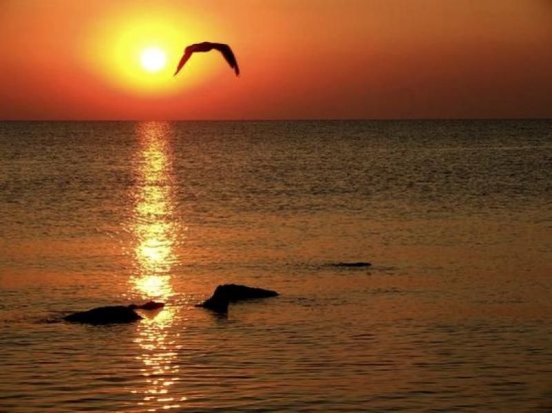 Constanta: Full Day Tour from Bucharest to the Black Sea - Why Constanta works so well on a one-day schedule