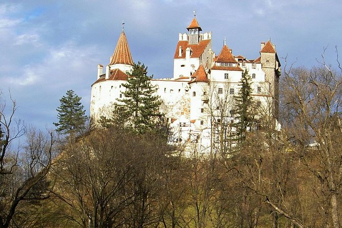 Cultural Day Trip to Transylvania including Peles Castle & Bran Dracula's Castle - Key Highlights at a Glance