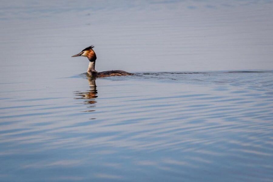 Danube Delta - 2-Day Tour from Bucharest - Key highlights at a glance